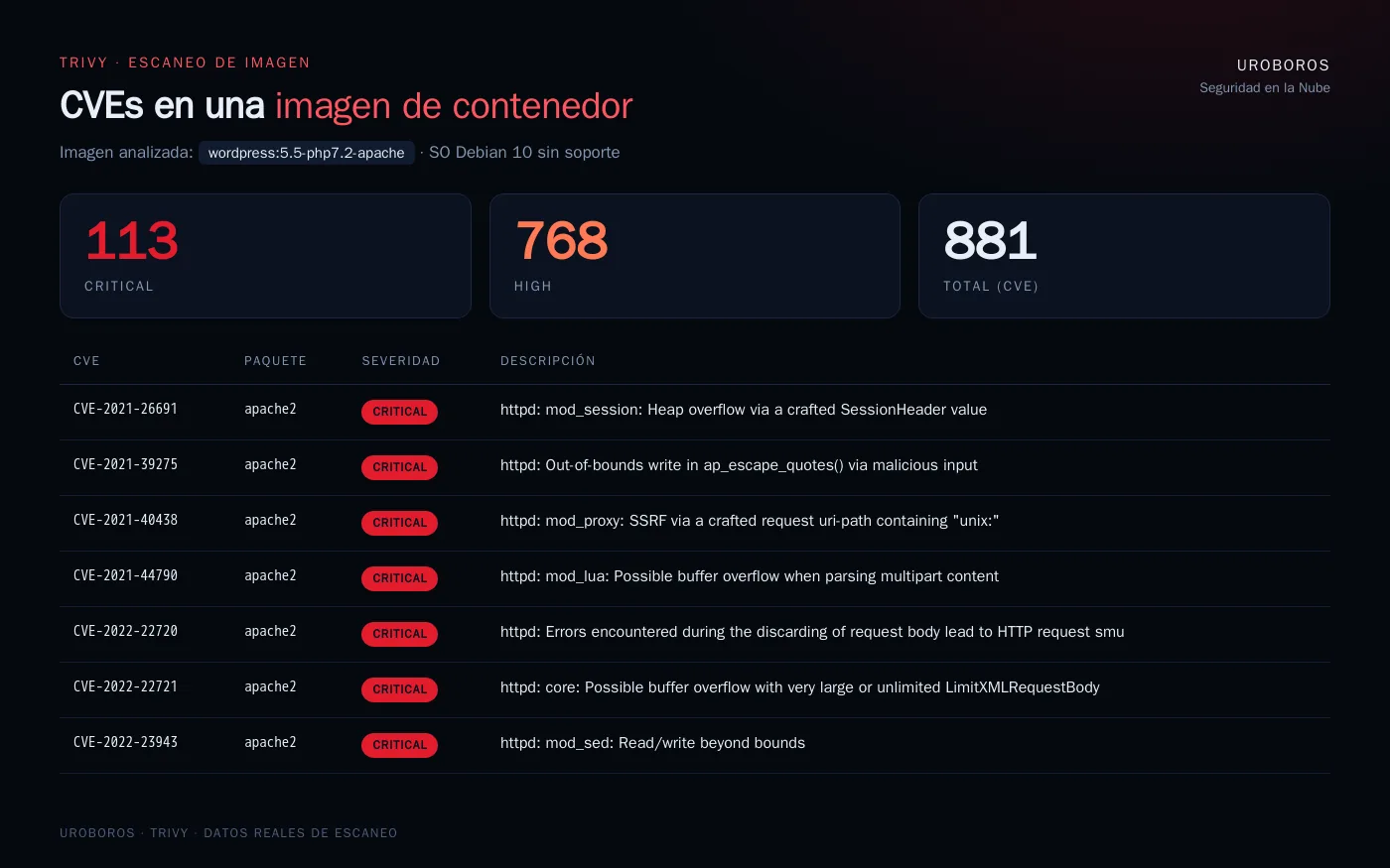 Escaneo de una imagen de contenedor con 881 vulnerabilidades, 113 críticas y 768 altas, con sus CVE y paquetes afectados